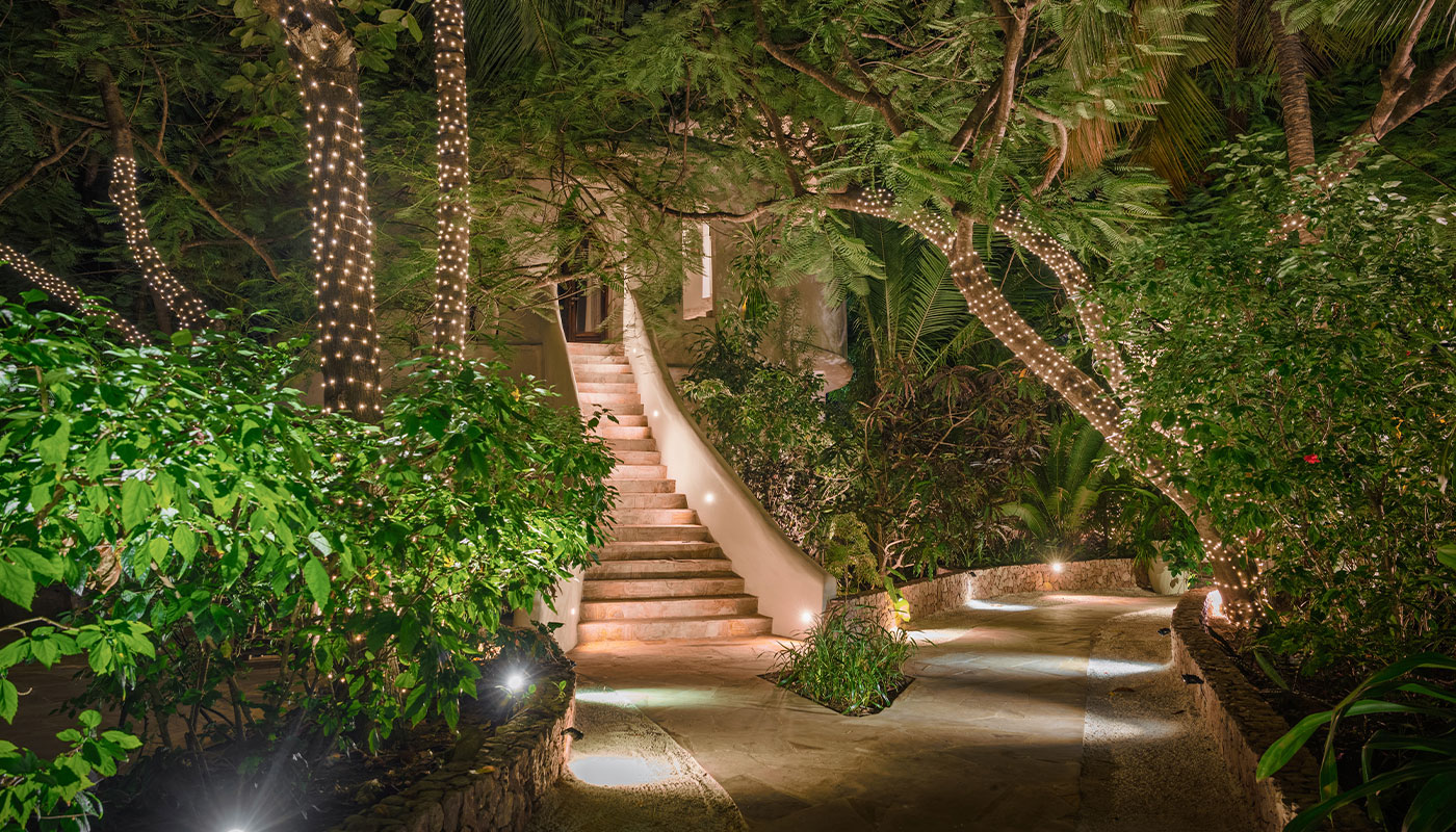 Illuminated garden path and staircase beneath trees wrapped in string lights